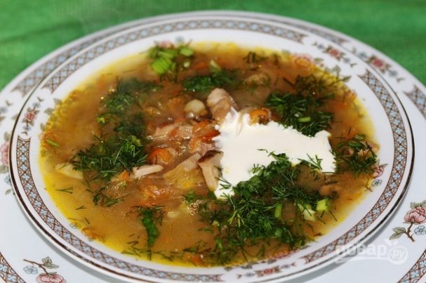 Кислые щи из квашеной капусты с грибами