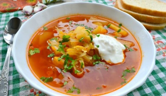 Щи без мяса из капусты – 6 рецептов приготовления постных щей