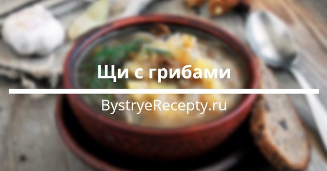 щи с грибами