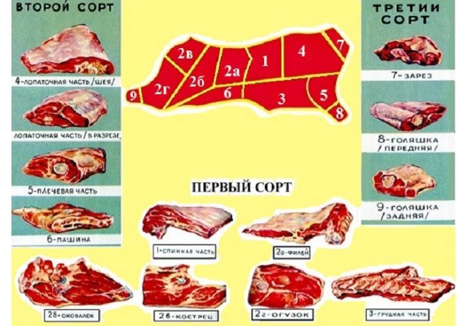 суп из говядины с лапшой выбор мяса
