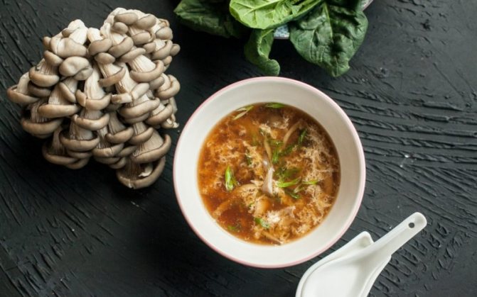 Суп из Вешенок – простой, разнообразный и вкусный