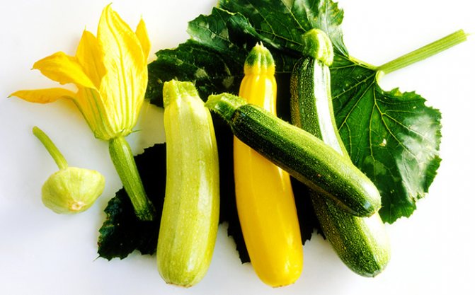 Суп-пюре из кабачков. Рецепты приготовления пошагово, быстро и вкусно