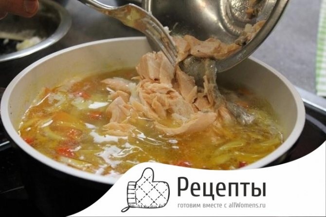 Уха из стерляди – пошаговые рецепты, как сварить уху в домашних условиях и на костре